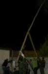 Maibaum Buschenschaft Stoob